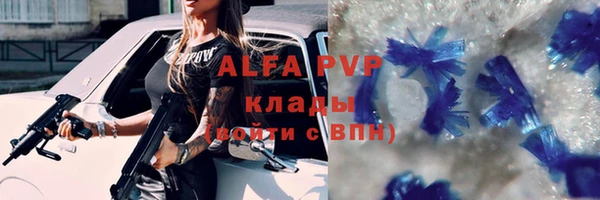 сатива Алзамай