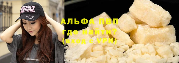 сатива Алзамай