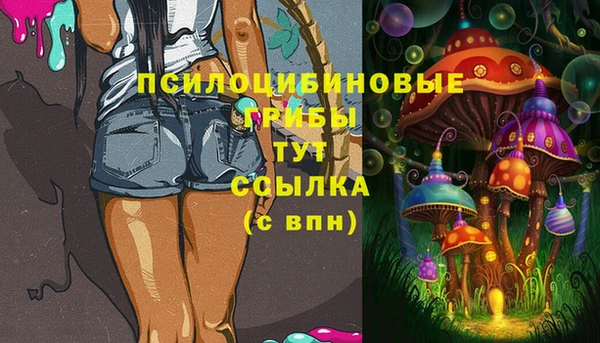 сатива Алзамай